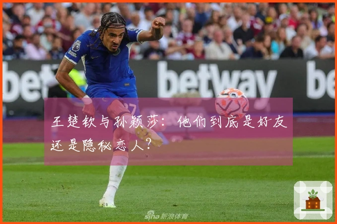 王楚钦与孙颖莎：他们到底是好友还是隐秘恋人？
