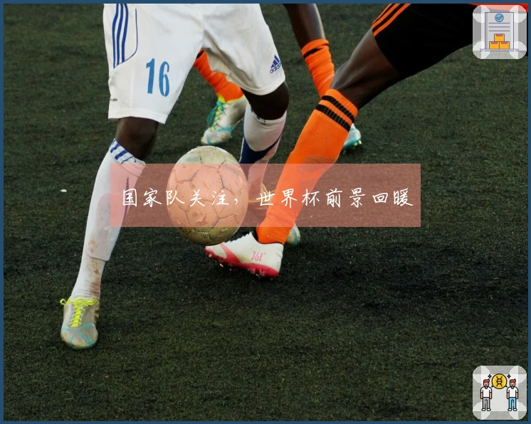 国家队关注，世界杯前景回暖