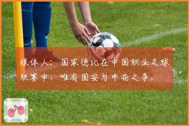 媒体人：国家德比在中国职业足球联赛中，唯有国安与申花之争。